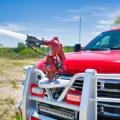 WildCAT Live Action Images 9 thumbnail